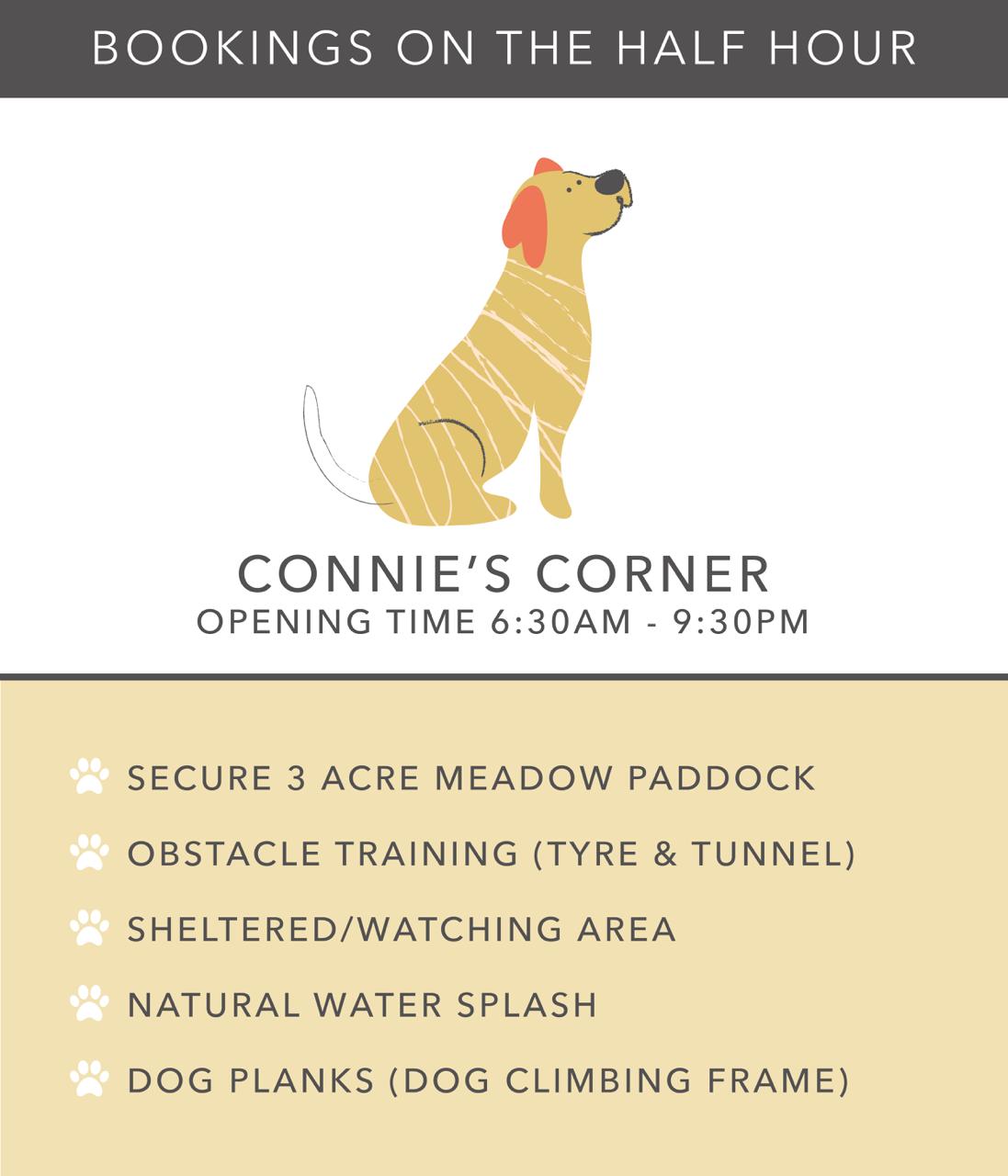 Connie's Corner